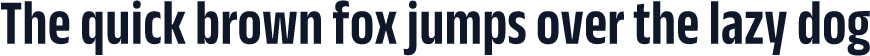 Anek Odia Condensed SemiBold