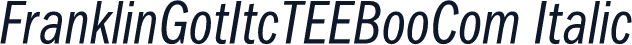 FranklinGotItcTEEBooCom Italic