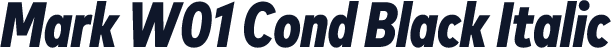 Mark W01 Cond Black Italic