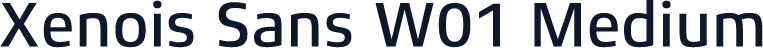 Xenois Sans W01 Medium