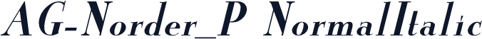 AG-Norder_P NormalItalic