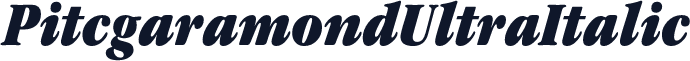 PitcgaramondUltraItalic
