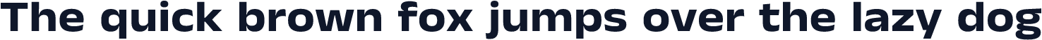 Anek Gurmukhi SemiExpanded Bold