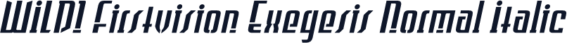 WILD1 Firstvision Exegesis Normal Italic