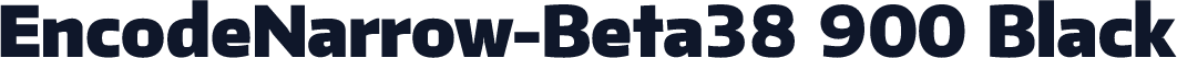 EncodeNarrow-Beta38 900 Black