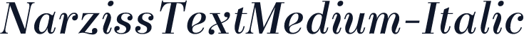 NarzissTextMedium-Italic
