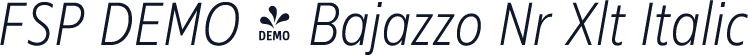 FSP DEMO - Bajazzo Nr Xlt Italic