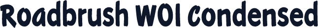 Roadbrush W01 Condensed