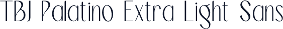 TBJ Palatino Extra Light Sans