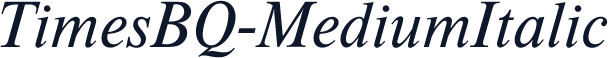 TimesBQ-MediumItalic