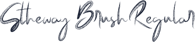 Stheway Brush Regular