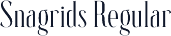 Snagrids Regular