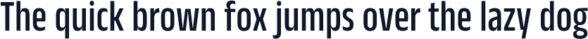 Anek Tamil Condensed Medium