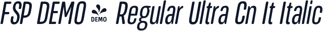 FSP DEMO - Regular Ultra Cn It Italic