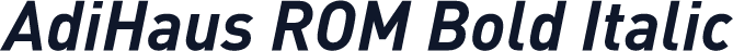 AdiHaus ROM Bold Italic