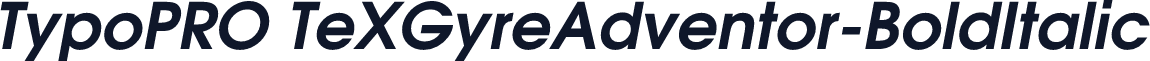 TypoPRO TeXGyreAdventor-BoldItalic