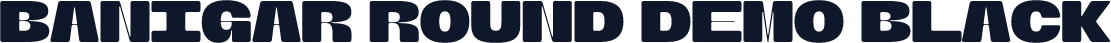Banigar Round DEMO Black