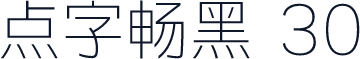 点字畅黑 30