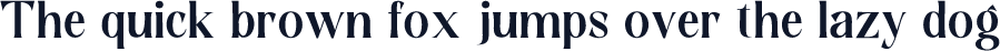 ContingentSerif