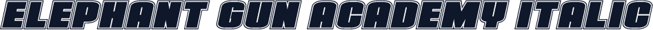 Elephant Gun Academy Italic