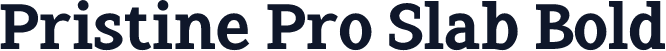 Pristine Pro Slab Bold