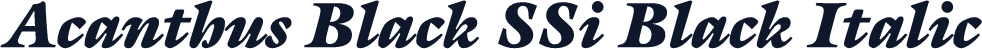 Acanthus Black SSi Black Italic