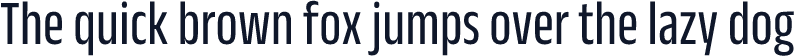 Anek Malayalam Condensed Regular