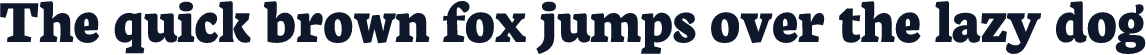 Neuton ExtraBold