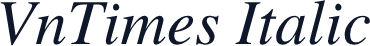 VnTimes Italic