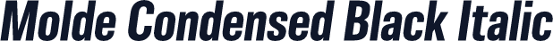 Molde Condensed Black Italic