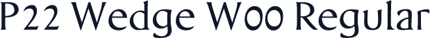P22 Wedge W00 Regular