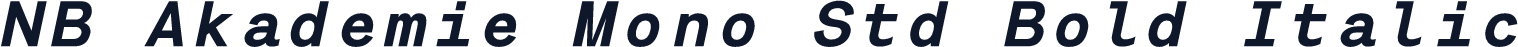NB Akademie Mono Std Bold Italic