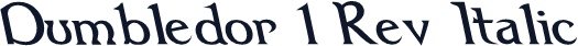 Dumbledor 1 Rev Italic