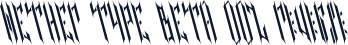 NETHER TYPE BETA 002 Reverse
