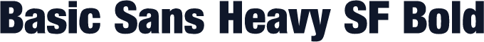 Basic Sans Heavy SF Bold