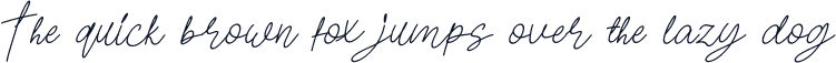 Pilot Signature Slant