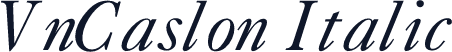 VnCaslon Italic