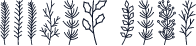 Winter Leaf