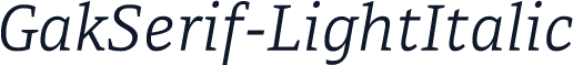 GakSerif-LightItalic
