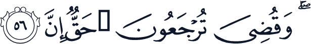 QCF_P215