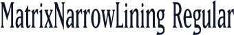 MatrixNarrowLining Regular