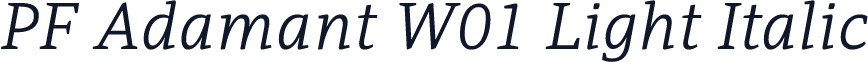 PF Adamant W01 Light Italic