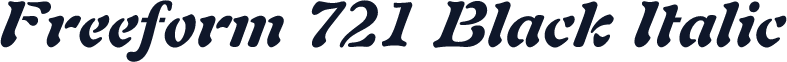 Freeform 721 Black Italic