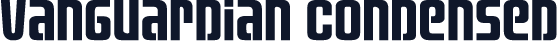 Vanguardian Condensed