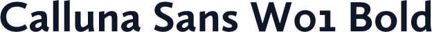 Calluna Sans W01 Bold