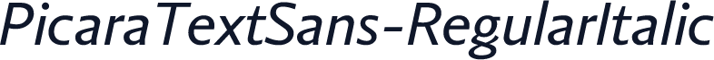 PicaraTextSans-RegularItalic