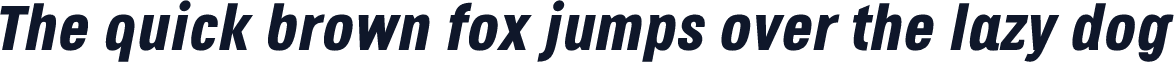 Octagen Black Black Italic