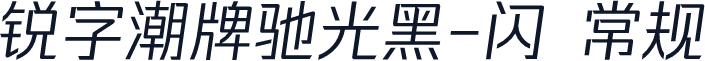 锐字潮牌驰光黑-闪 常规