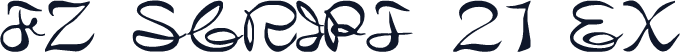 FZ SCRIPT 21 EX