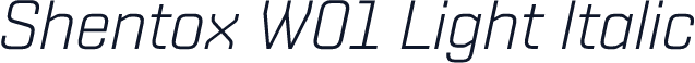 Shentox W01 Light Italic